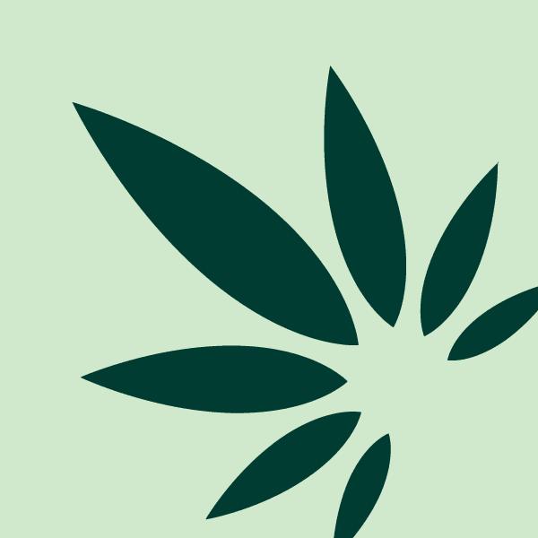 Cannabis Retail Certification (KCV)